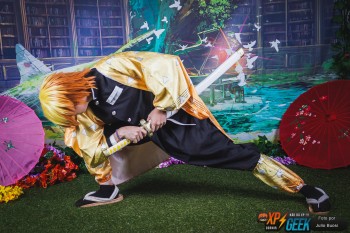 Ribeirão Preto Anime Fest