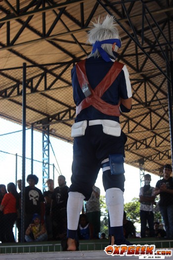 RPAF - Externa 2013